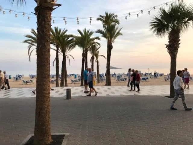 El paseo, entre palmeras